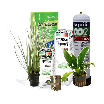 Hobby Egeria Pianta Artificiale per Acquario - Ulisse Quality Shop